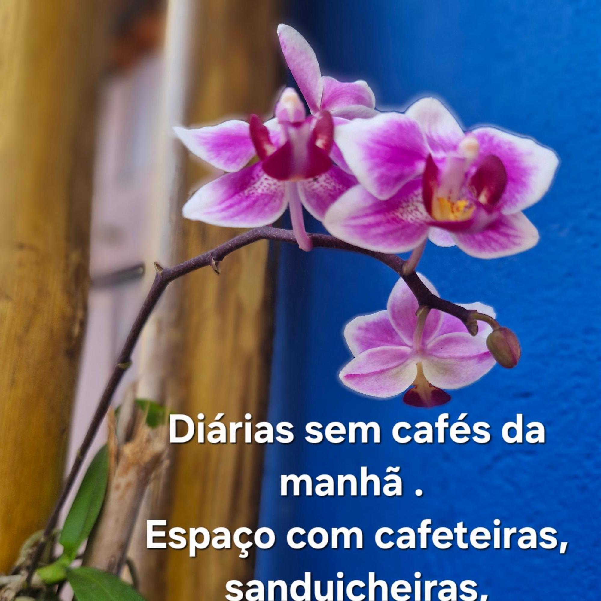 קרגואטטובה A Ver O Mar Suites Cocanha מראה חיצוני תמונה